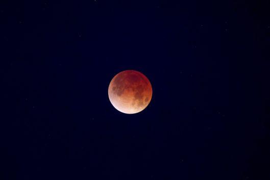 The Moon appears red during a total lunar eclipse over New Orleans, home of NASA’s Michoud Assembly Facility, on March 3, 2026. This “blood moon” occurs during a total lunar eclipse, as Earth lines up between the Moon and the Sun. When this happens, the only light that reaches the Moon’s surface is from the edges of Earth’s atmosphere. The air molecules from Earth’s atmosphere scatter out most of the blue light. The remaining light reflects onto the Moon’s surface with a red glow, making the Moon appear red in the night sky. This is the same effect that turns the sky pink, orange, and red at sunrise and sunset.  Image credit: NASA/Michael DeMocker